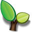 File:Seed.png