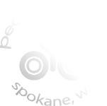 Pedals2People-logo.png