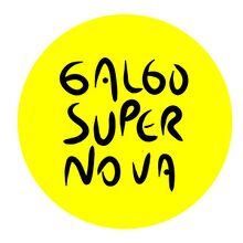 Galgo Supernova-logo.jpg